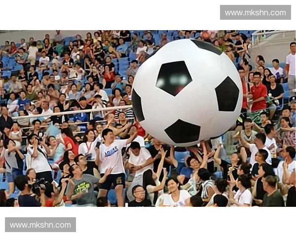 2012世界杯回顾与精彩瞬间盘点全面解析足球盛宴影响力